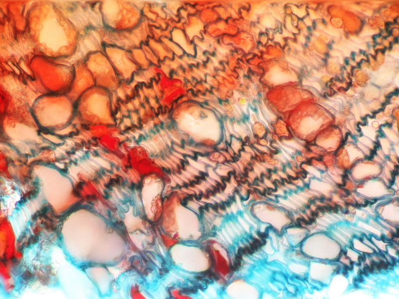 16 04 29 124016 MB R8 S4 Kopie