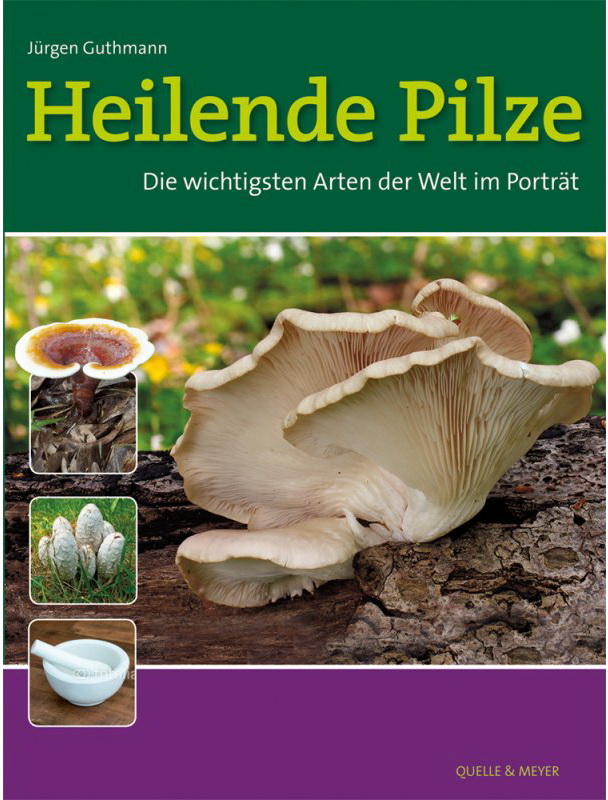 Heilende Pilze Die wichtigsten Arten der Welt Juergen Guthmann ISBN 978 3 494 01669 6