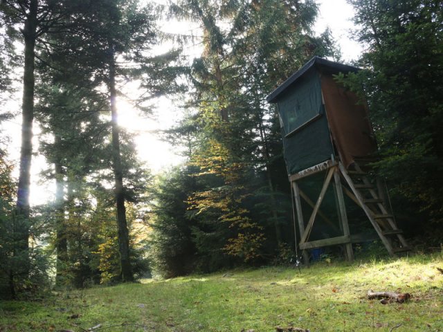 Moosenmättle 12. Okt. 2015