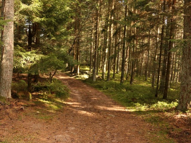 Rensberg 20. Okt. 2015