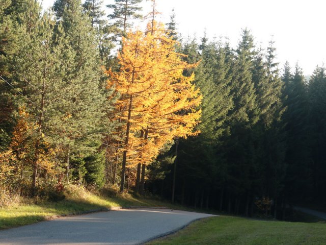 Rensberg 31. Okt. 2015